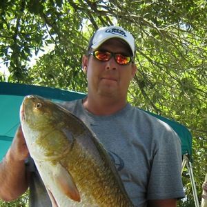 Meet your Posher, Byron